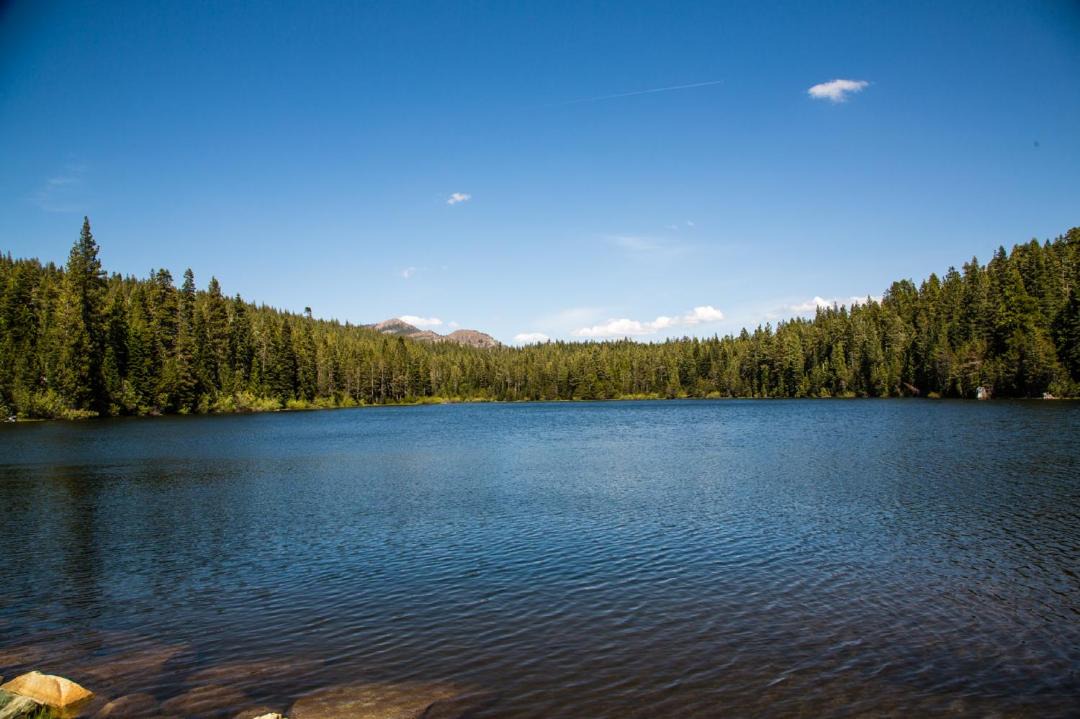 Photo of Outdoor in Emigrant Gap