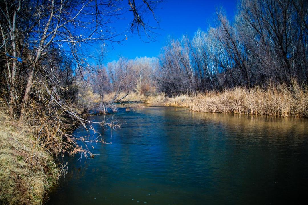 Photo of Others in Cottonwood