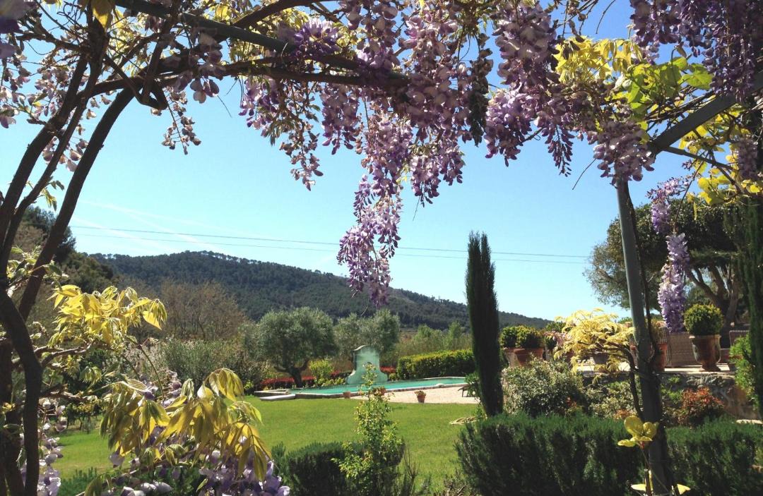 Photo of Others in Saint-Cyr-sur-Mer