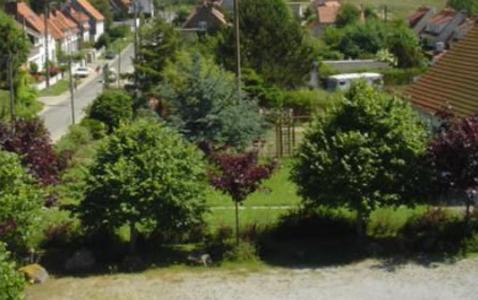 Photo of Others in Wissant