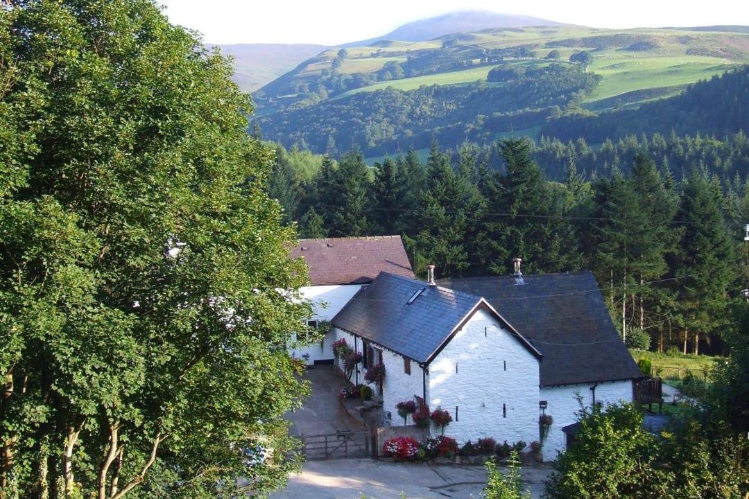 Photo of Others in Glyn-Dyfrdwy