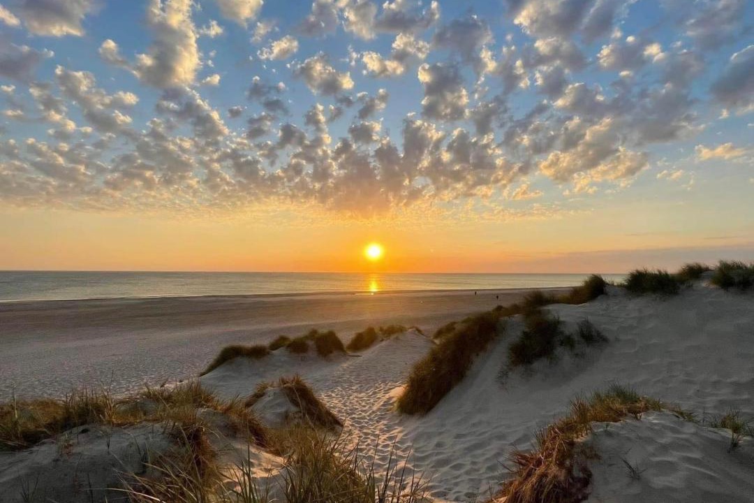 Photo of Others in Henne Strand