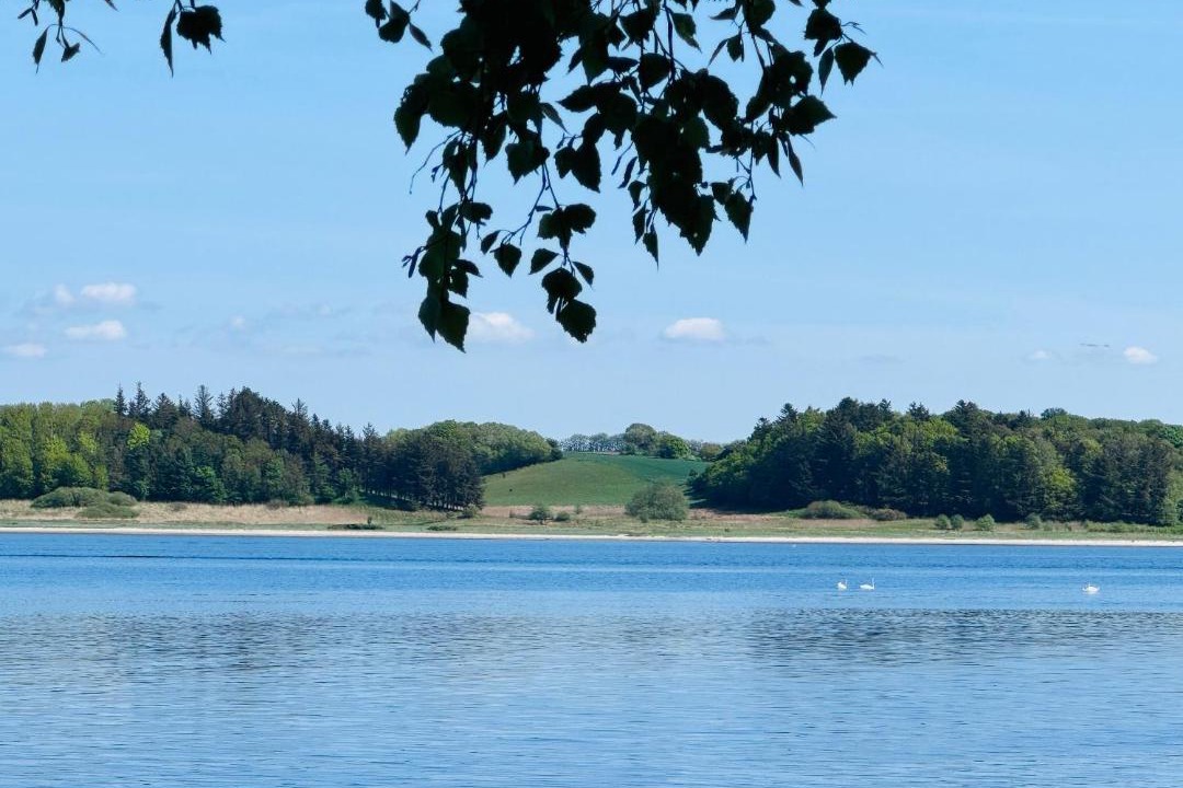 Photo of Others in Sundstrup