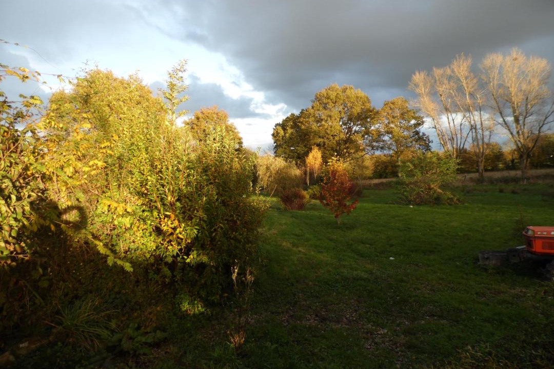 Photo of Others in Treban