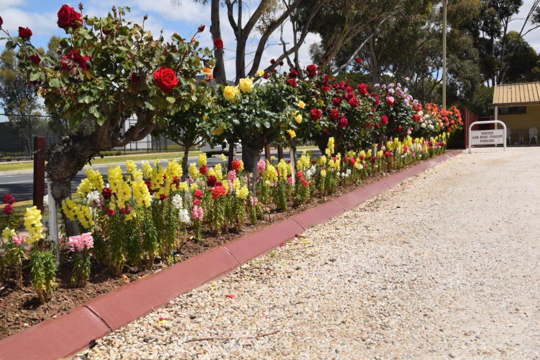 Photo of Others in Echuca