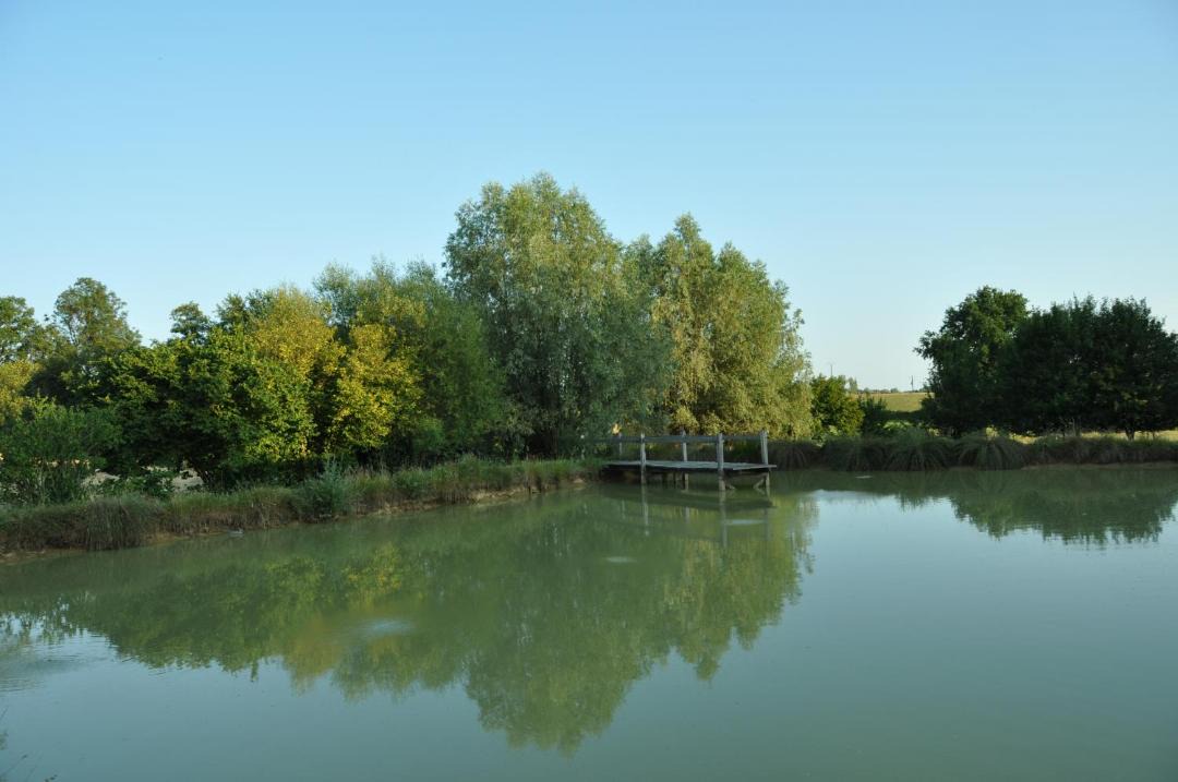 Photo of Others in Saillenard