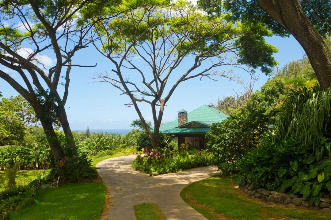 Photo of Others in Wailuku Heights