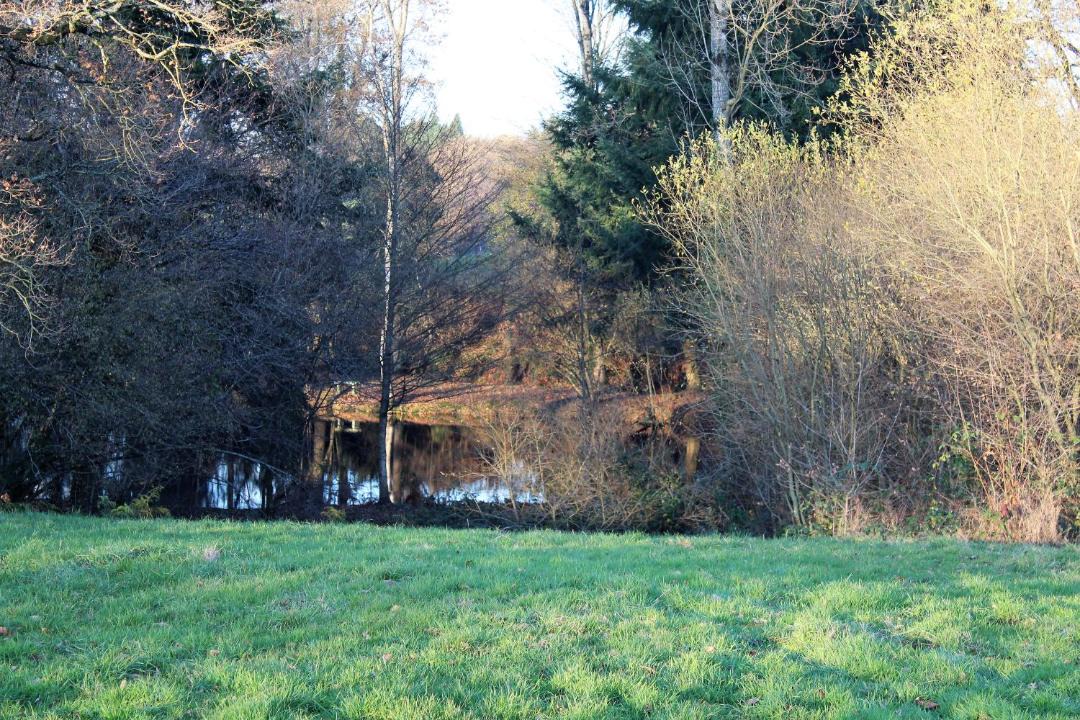 Photo of Outdoor in Larchamp