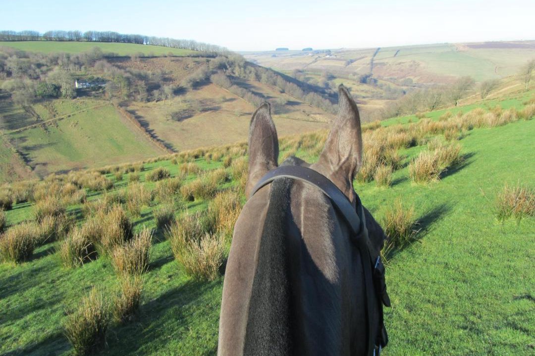 Photo of Others in Withypool