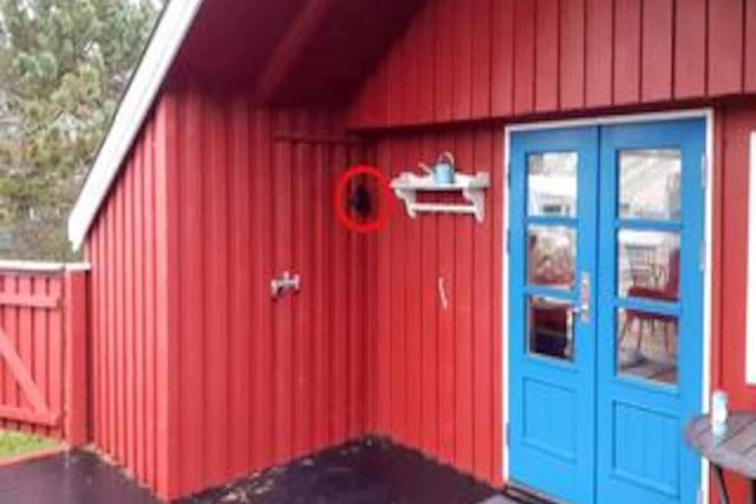 Photo of Others in Vorupør