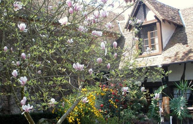 Photo of Others in Saint-Florent