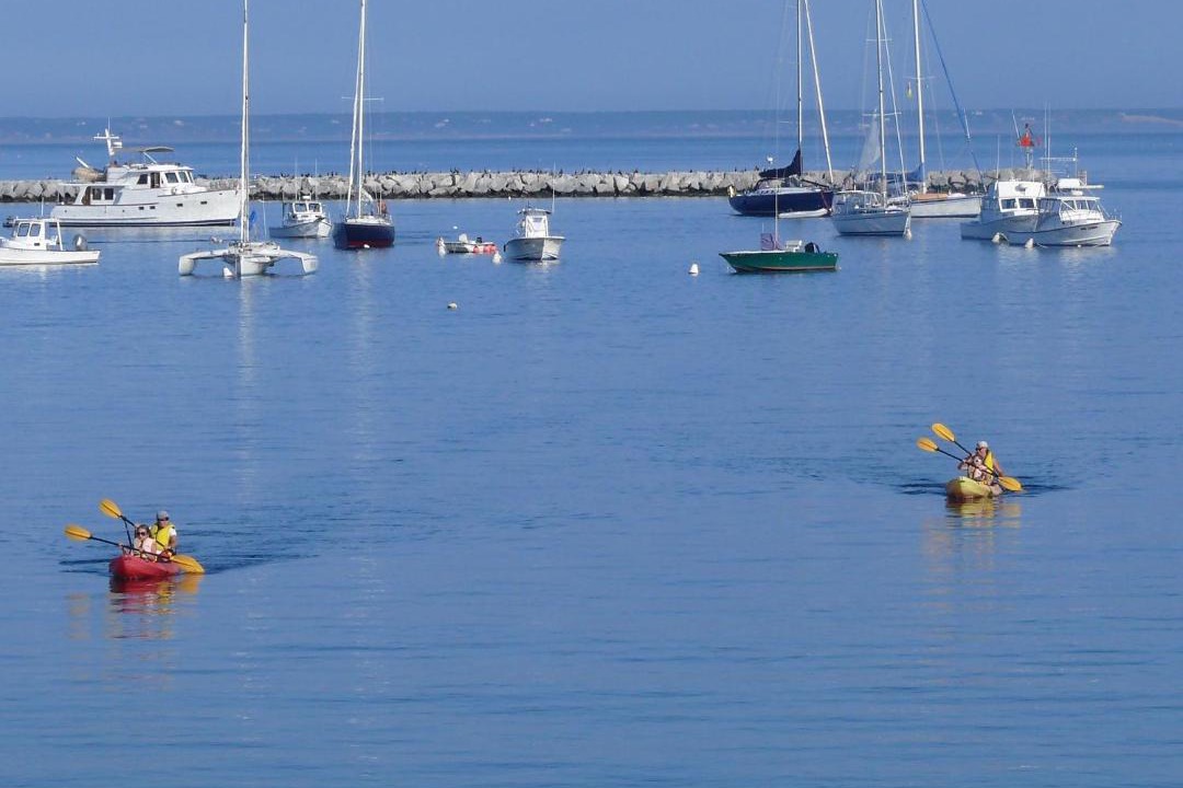 Photo of Others in Commercial Street