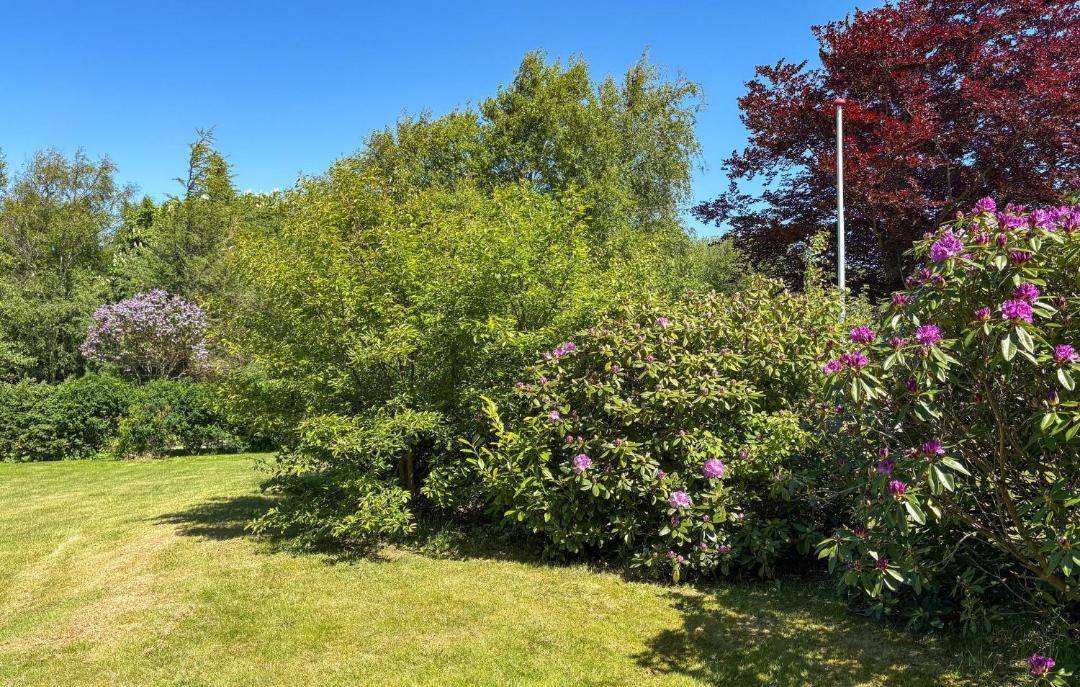 Photo of Outdoor in Thyholm