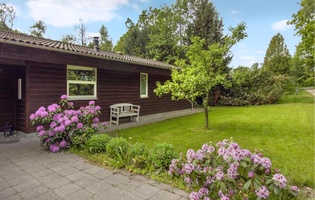 Photo of Others in Silkeborg