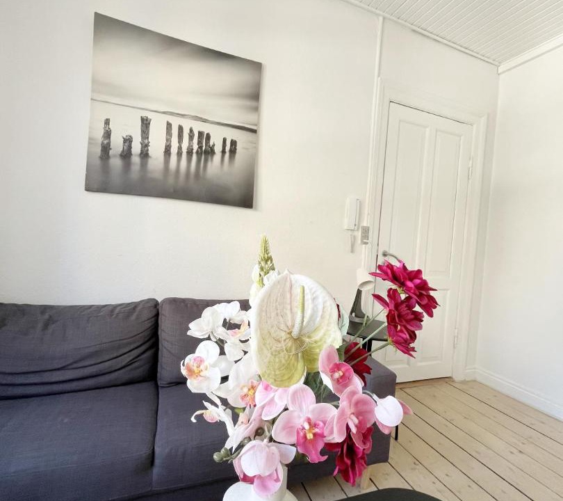Photo of Others in Aalborg