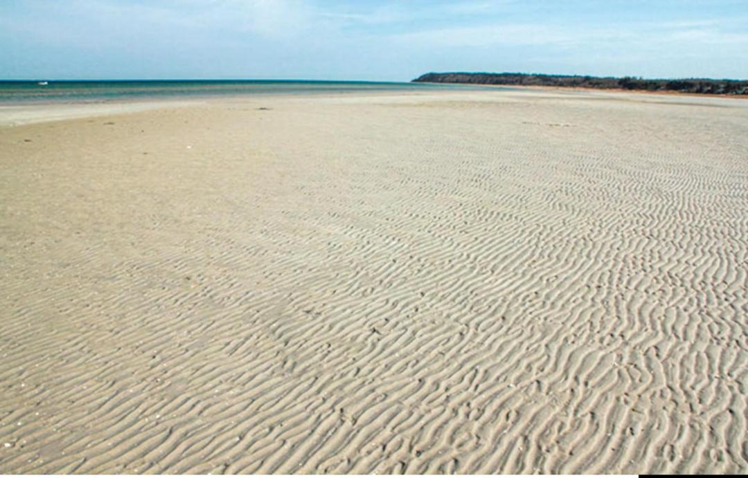 Photo of Others in Bønnerup Strand