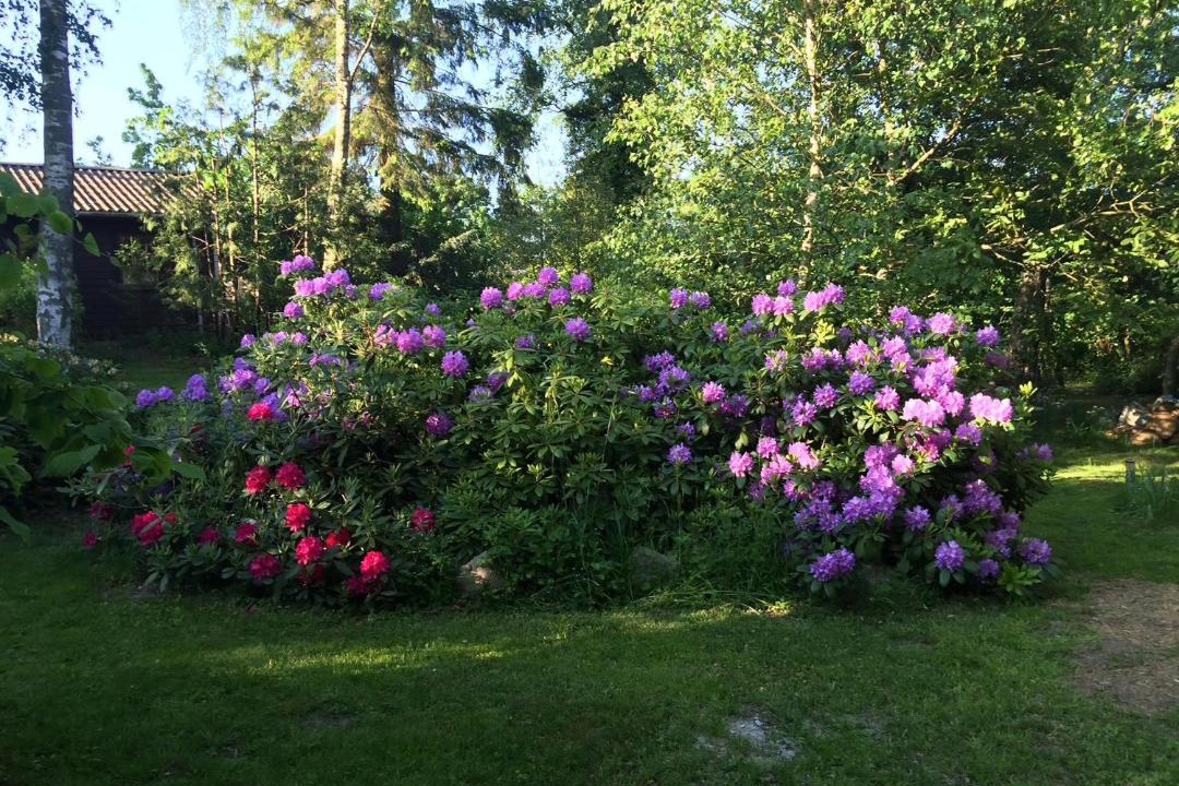 Photo of Outdoor in Faarevejle