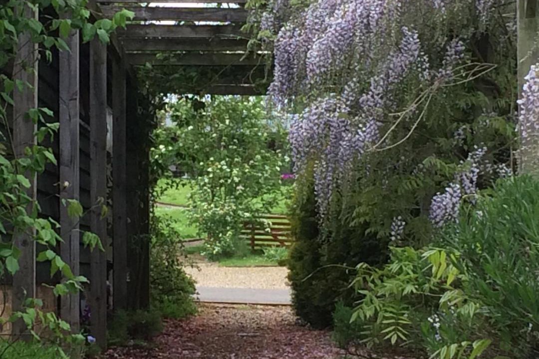 Photo of Others in Stuppington