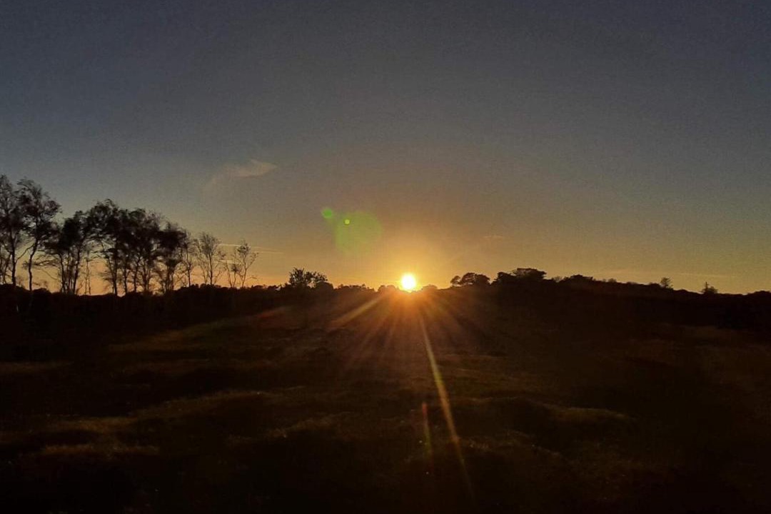Photo of Others in Vibæk Strand