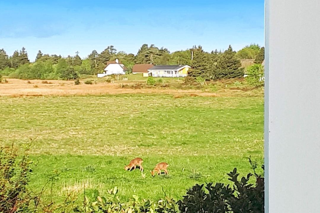 Photo of Others in Kongsmark