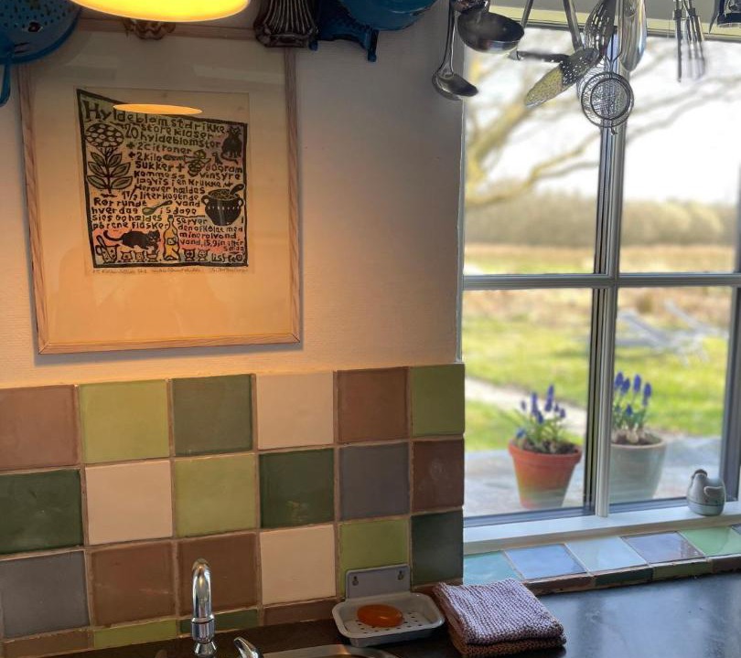 Photo of Kitchen in Glæde