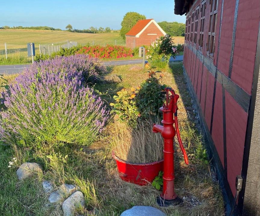 Photo of Others in Frørup
