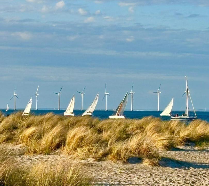 Photo of Others in Amager