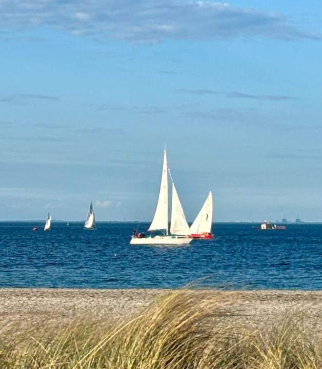 Photo of Others in Amager