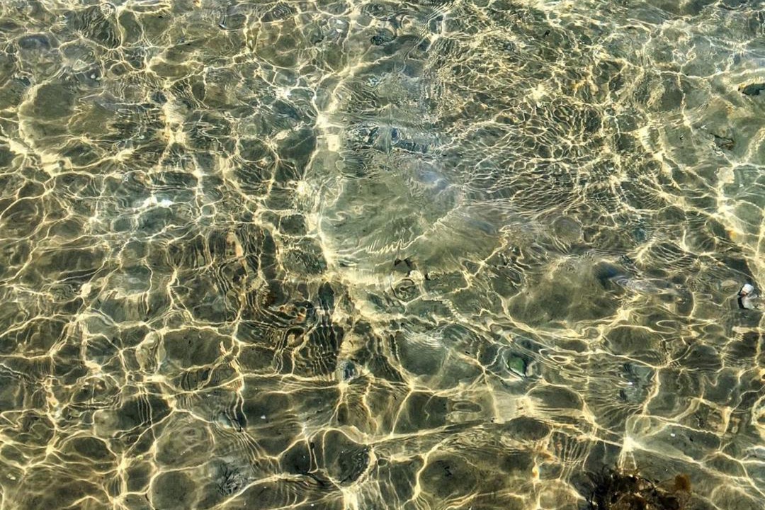 Photo of Others in Hejlsminde Strand