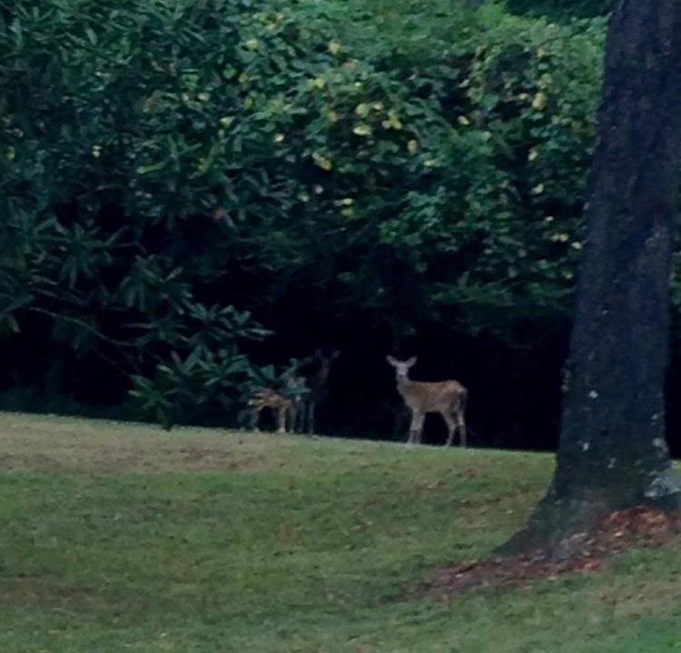 Photo of Others in Port Gibson