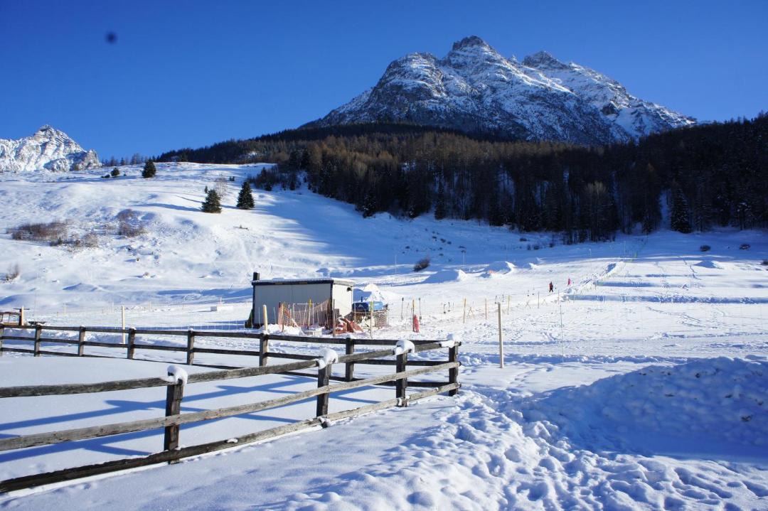 Photo of Others in Engadin Scoul