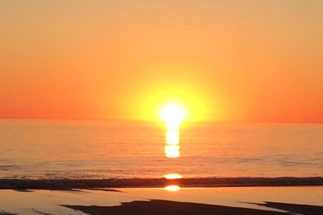 Photo of Others in Semaphore