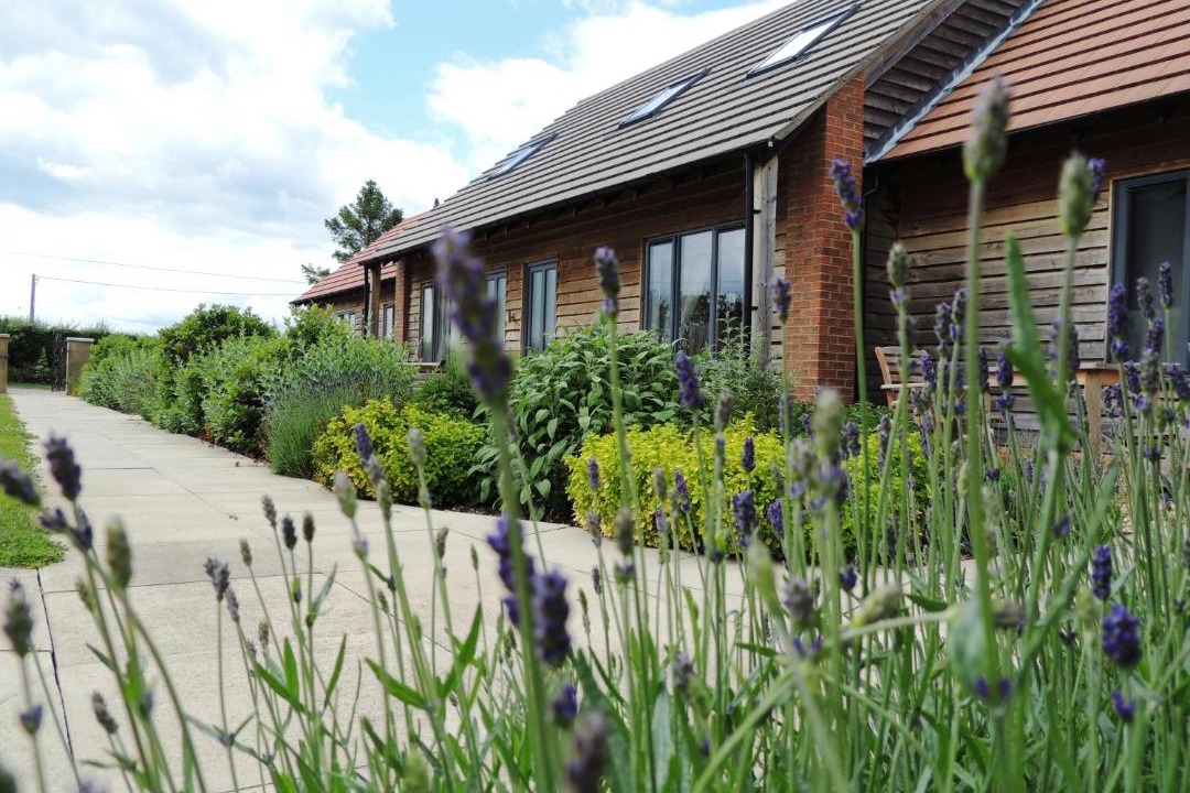 Photo of Others in Yardley Gobion