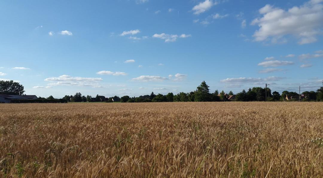 Photo of Others in Yvre-l'Eveque