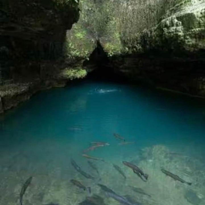 Photo of Others in Holiday Island