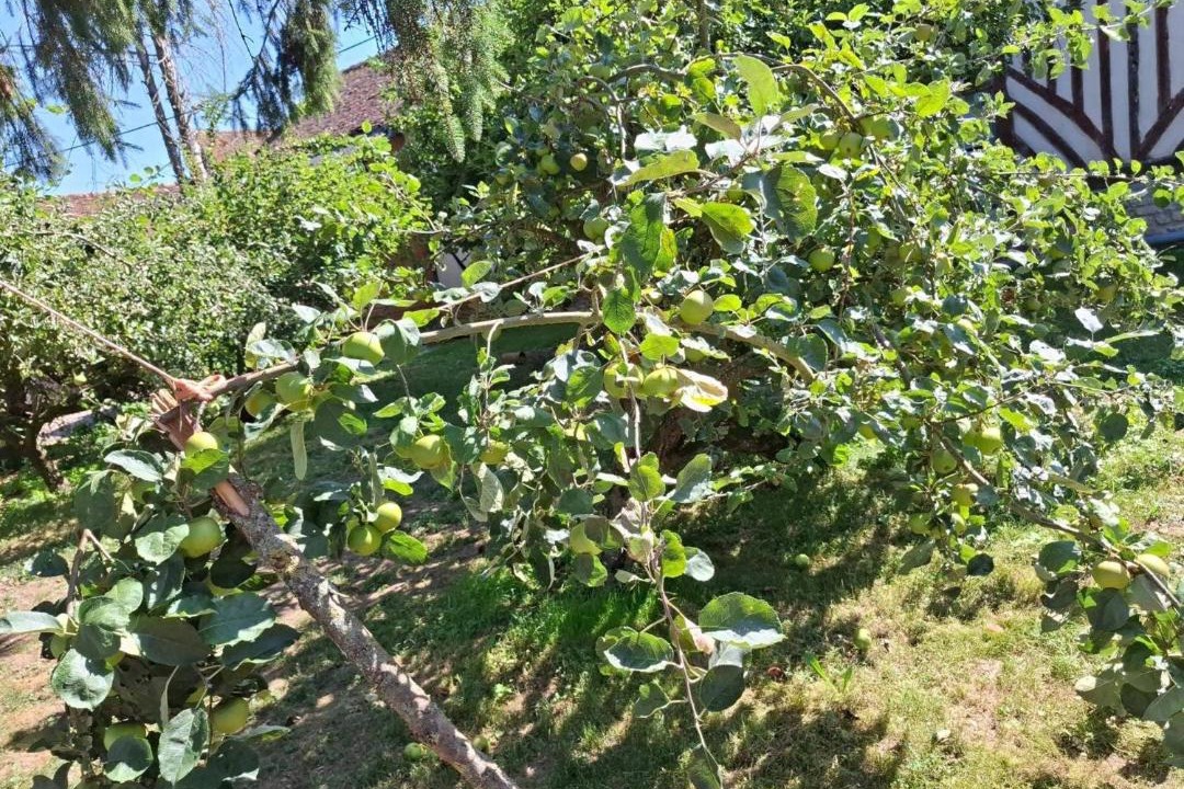Photo of Outdoor in Le Mesnil-Mauger