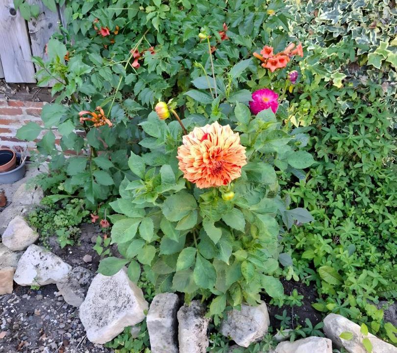 Photo of Outdoor in Le Mesnil-Mauger