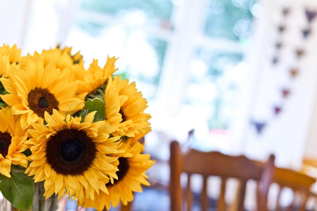 Photo of Others in Kendal