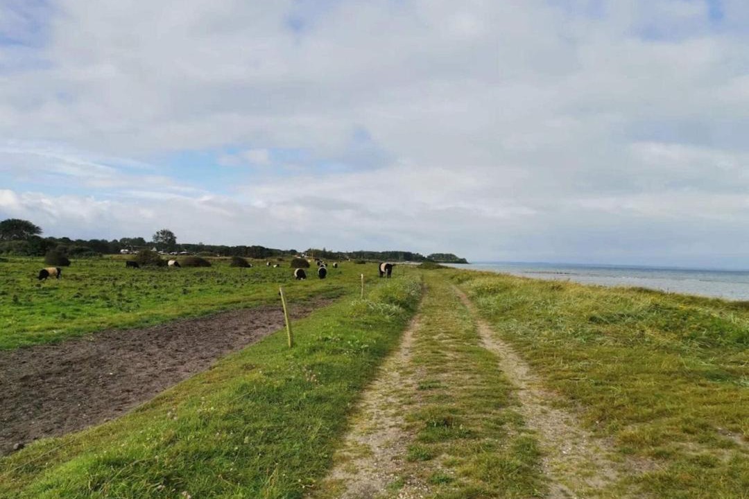 Photo of Others in Nordborg