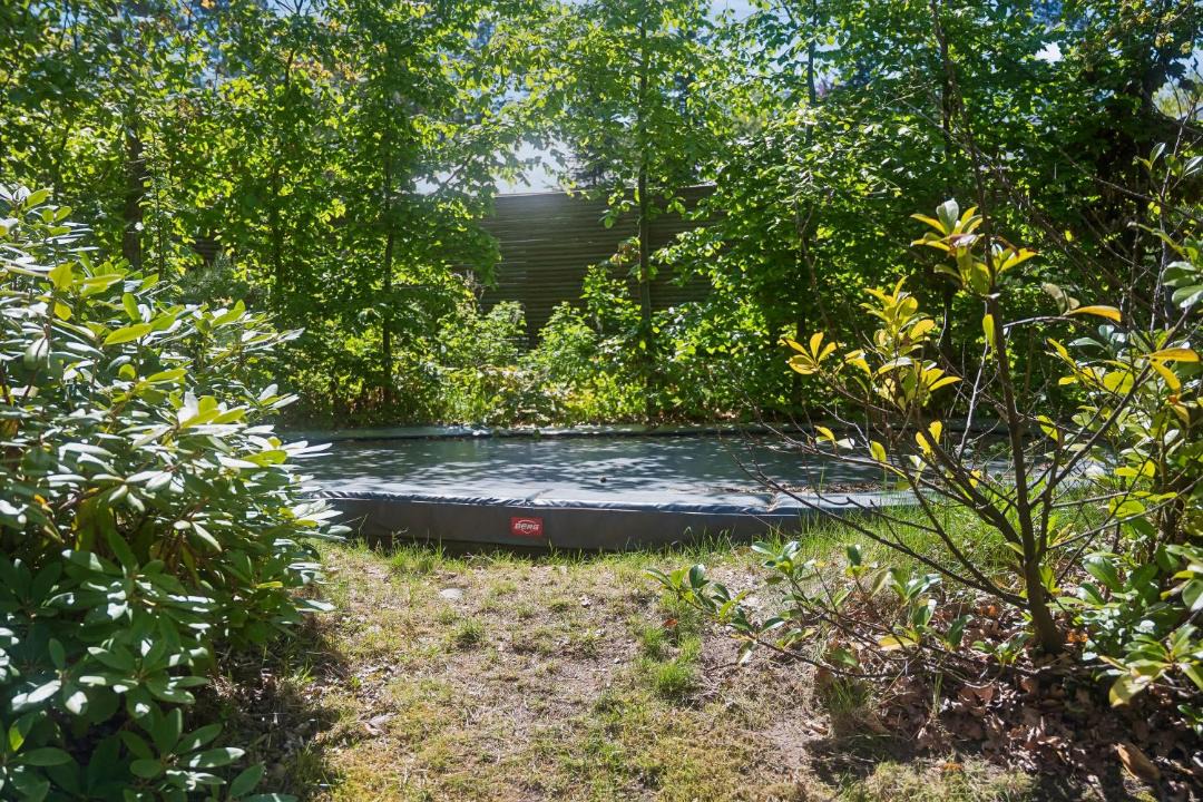Photo of Outdoor in Hornbaek