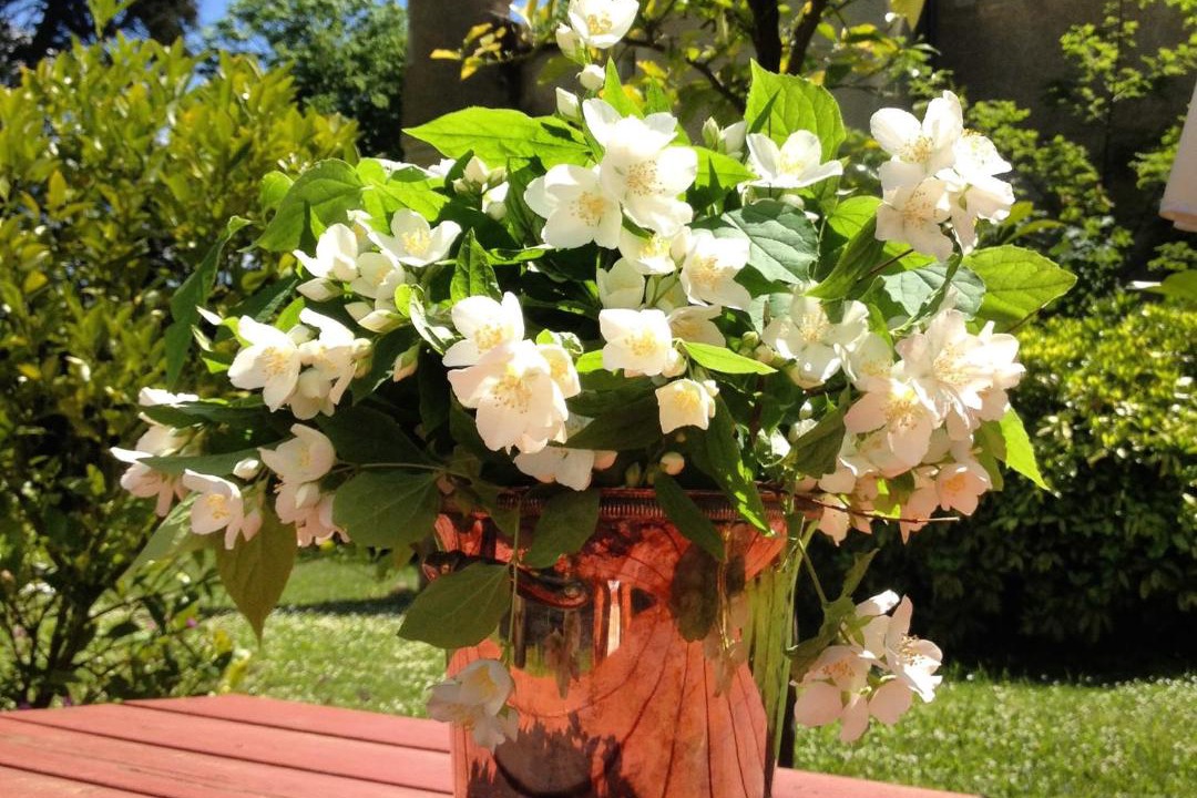 Photo of Others in Saint-Gaultier