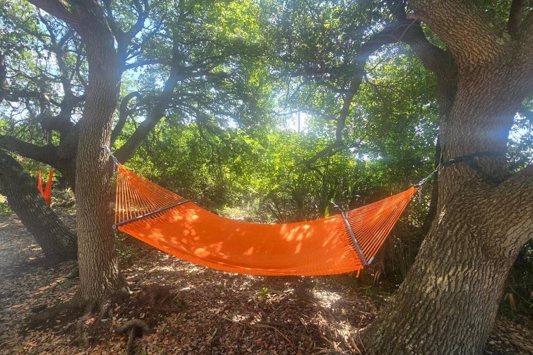 Photo of Outdoor in The Point