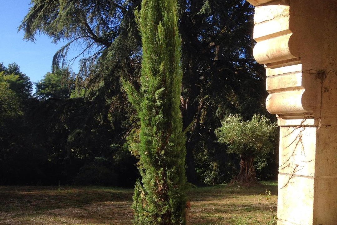 Photo of Others in Saint-Gaultier