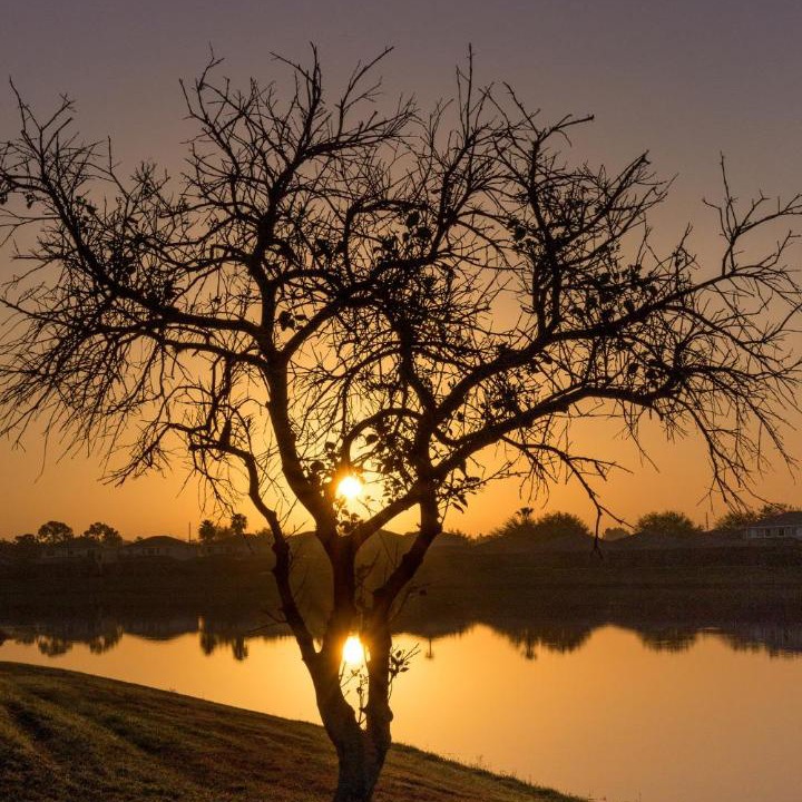 Photo of Others in Sunset Lakes