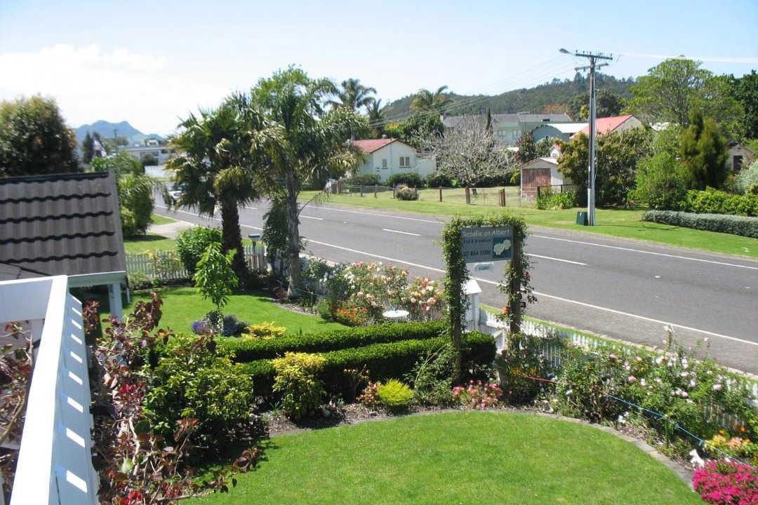 Photo of Others in Whitianga