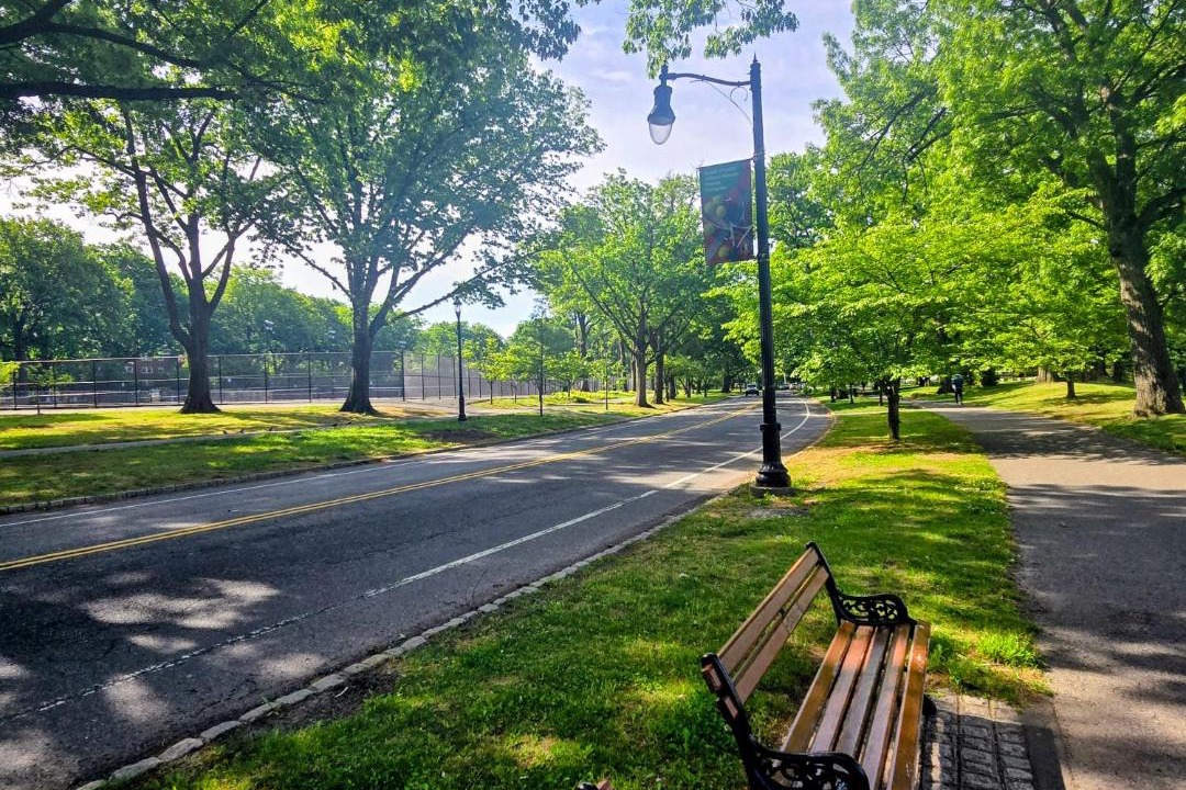 Photo of Others in Forest Hill