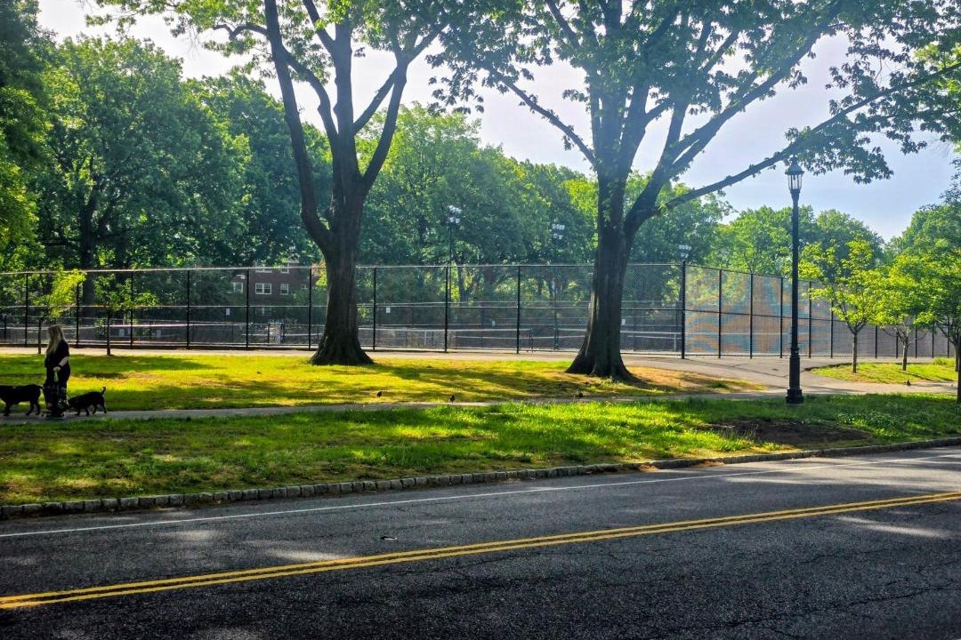 Photo of Others in Forest Hill