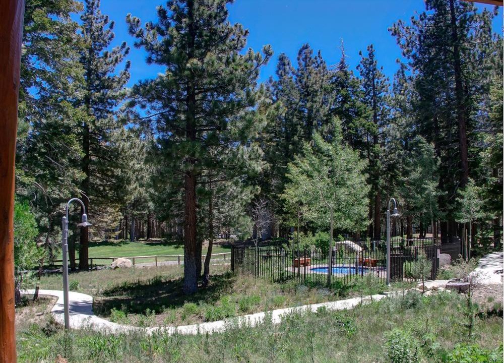 Photo of Others in Crooked Pines