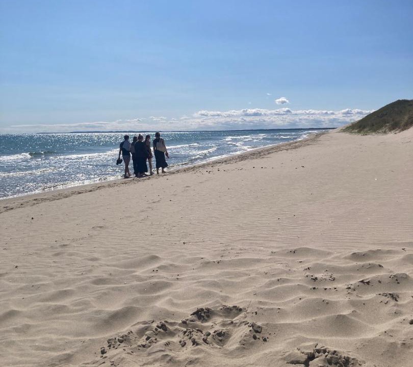 Photo of Others in Bindslev