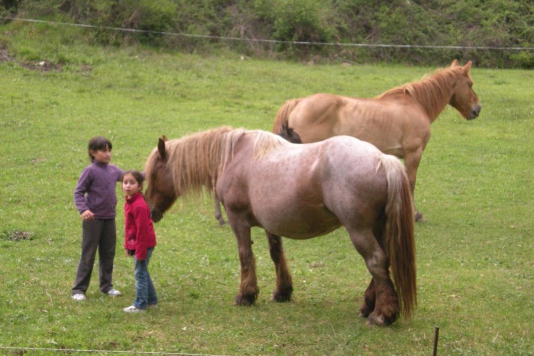 Photo of Others in Oto